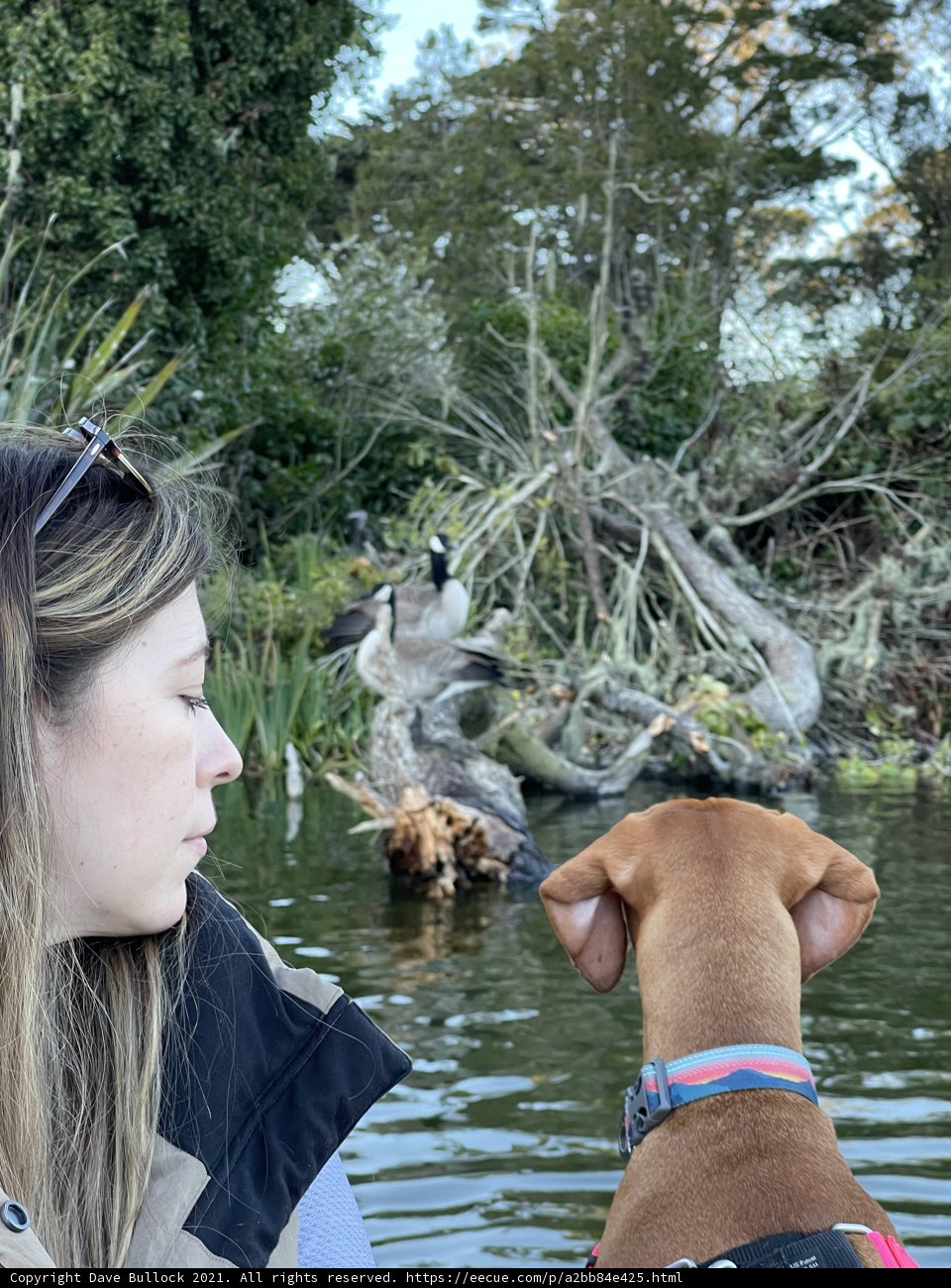 Serene Moment at Stow Lake