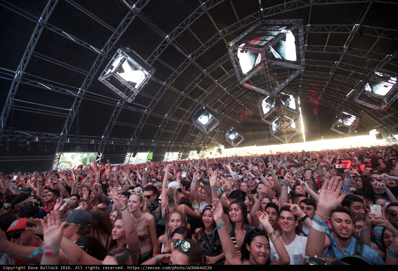 Grooving in the Crowd