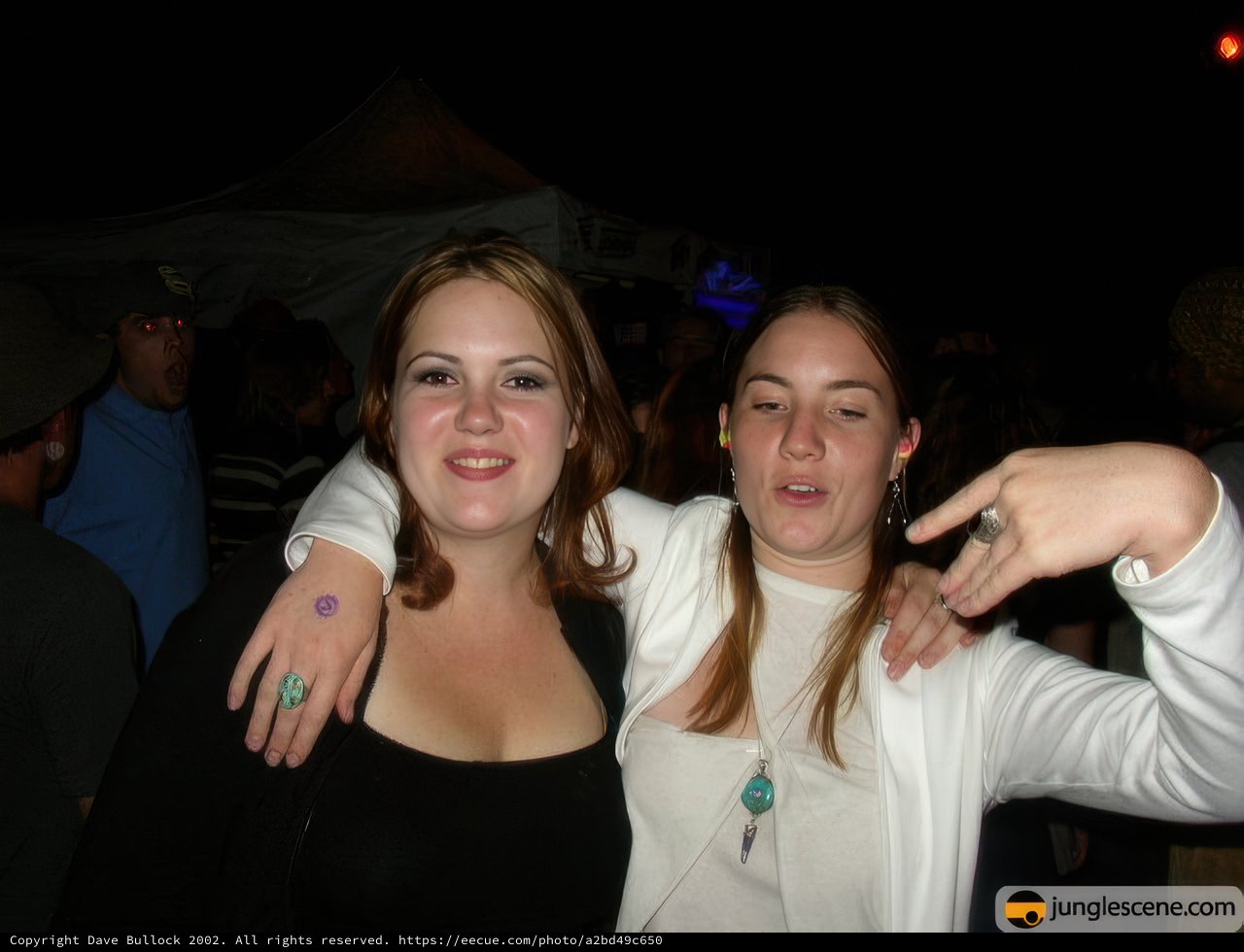 Party Posers