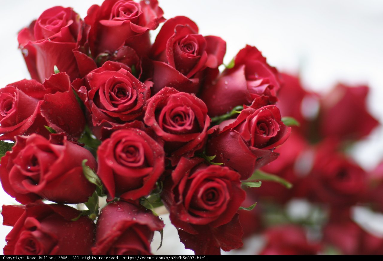 A Bouquet of Love