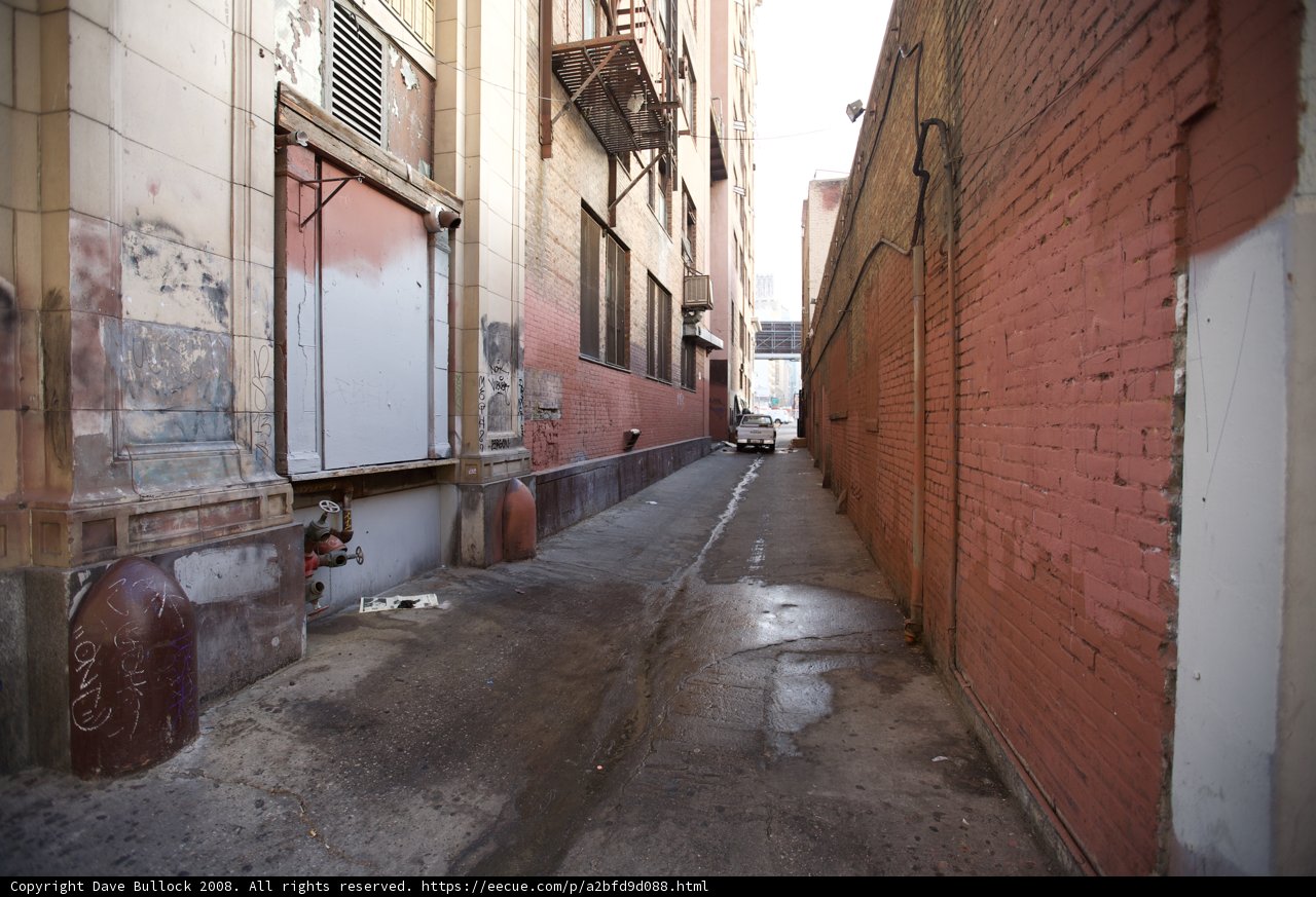 Graffiti-Lined Alley in the Heart of the City