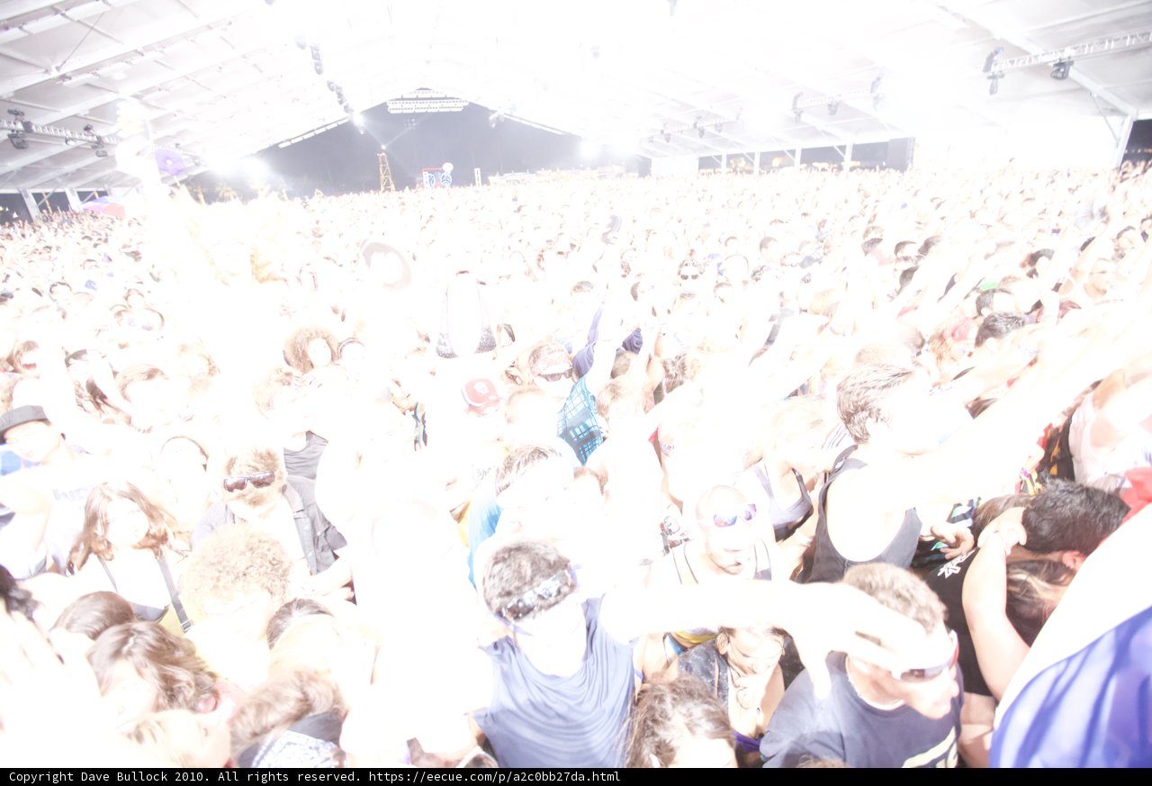 Coachella Music Festival Crowd