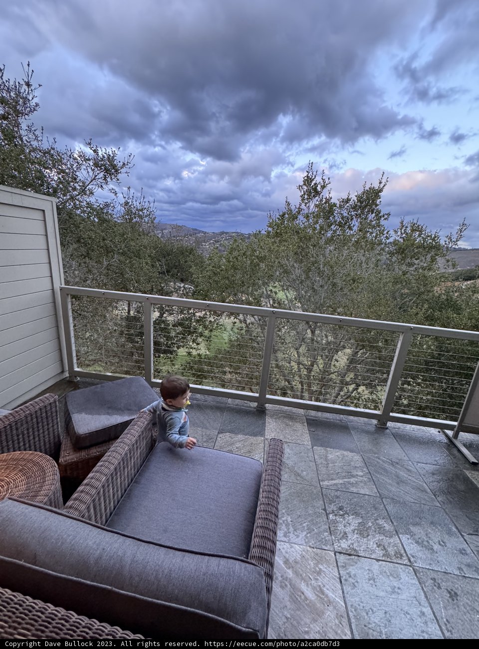 Mountainside Contemplations in Carmel