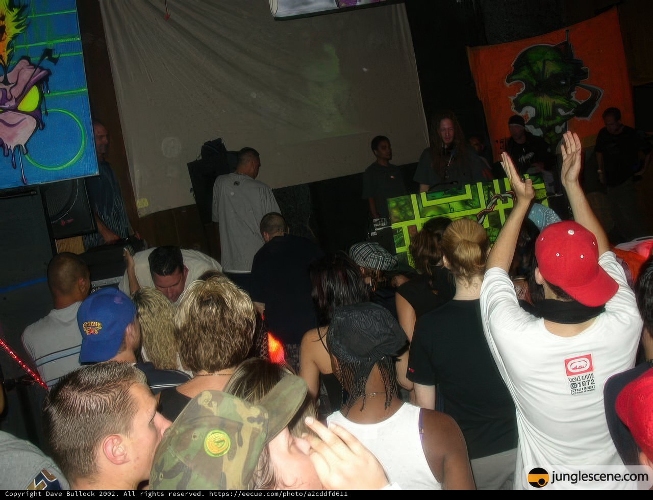 Nightclub Crowd at a DJ Party