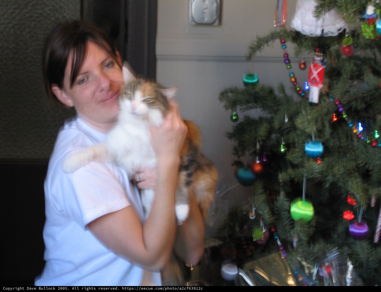 Woman Cuddles Calico Cat by Christmas Tree