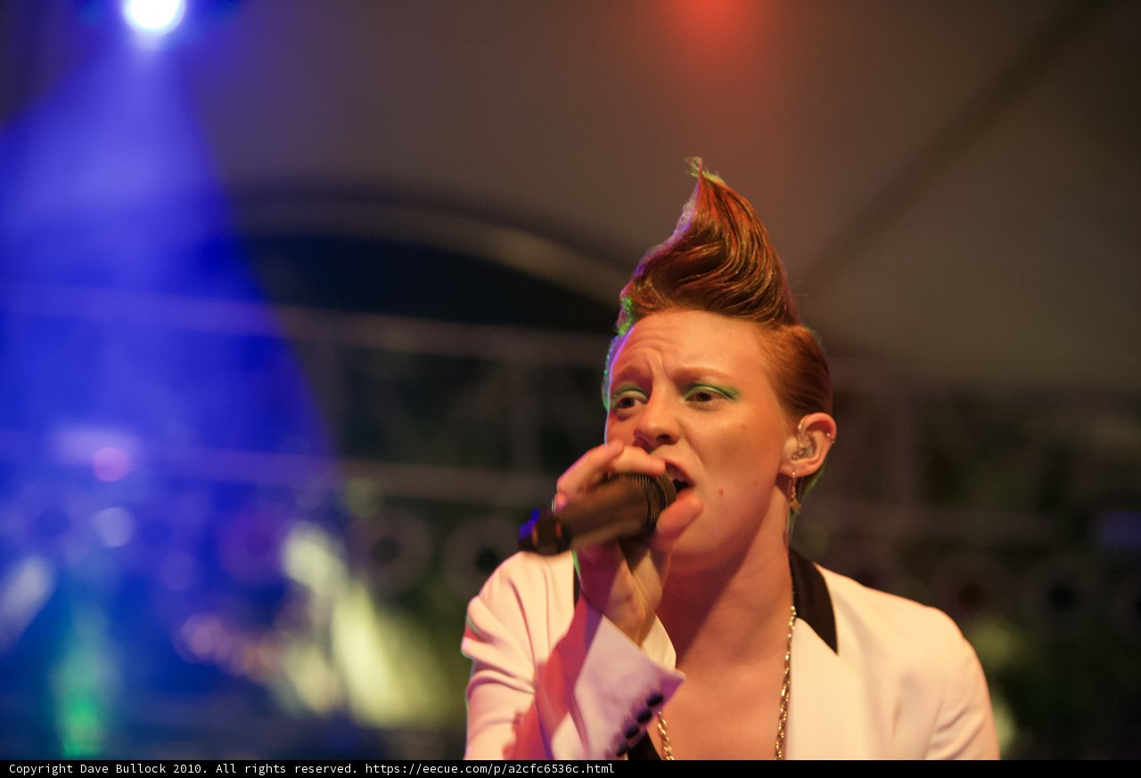 Mohawked Singer Rocks the Stage at Coachella