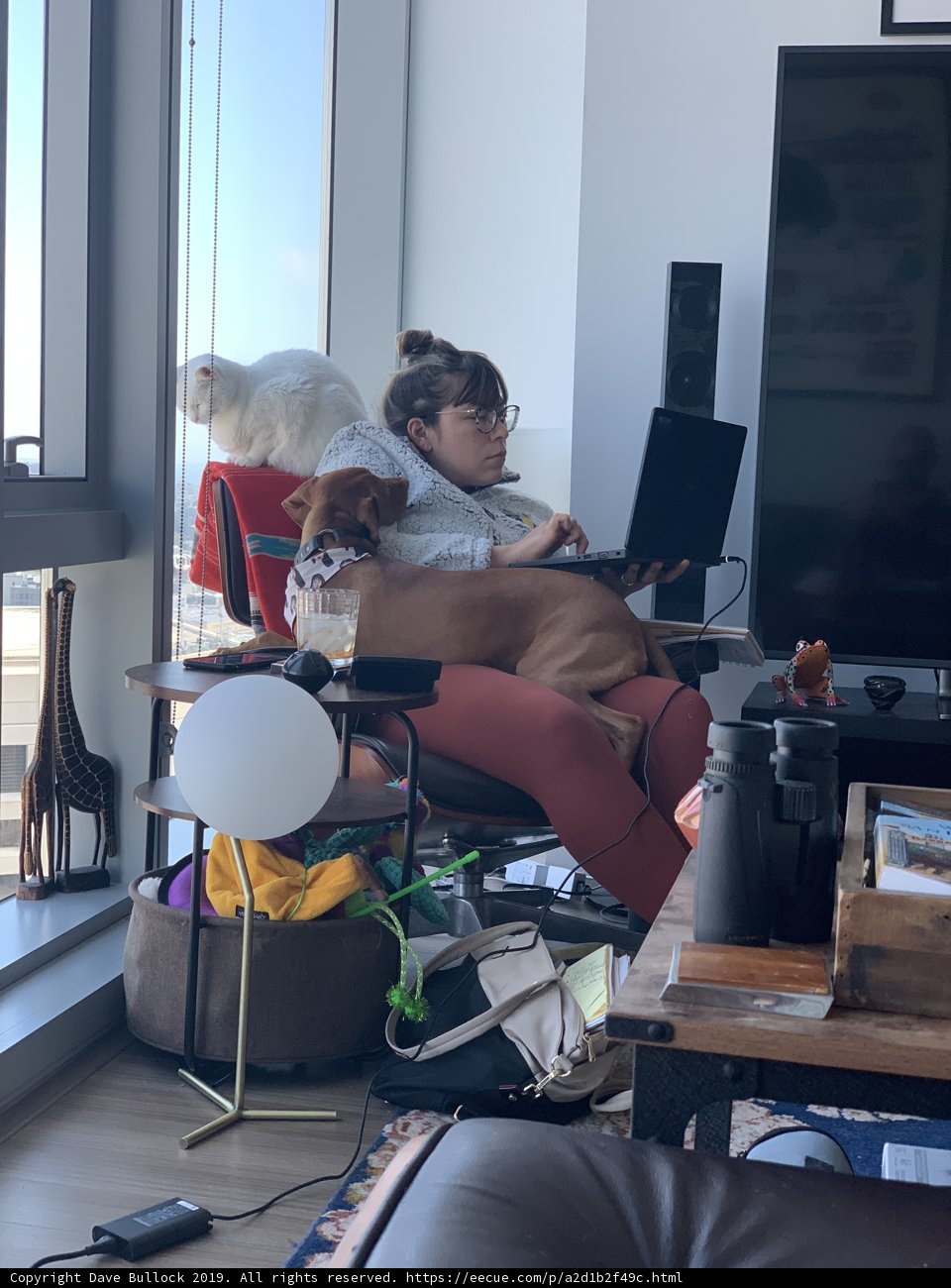 Modern Woman in her Living Room