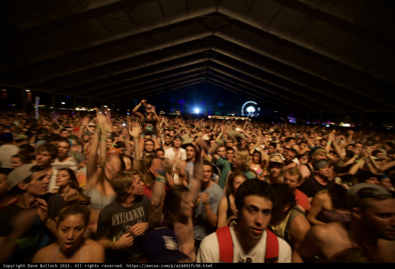 Rocking Out with the Crowd