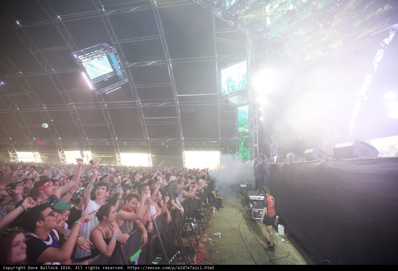 Hands Up at Coachella