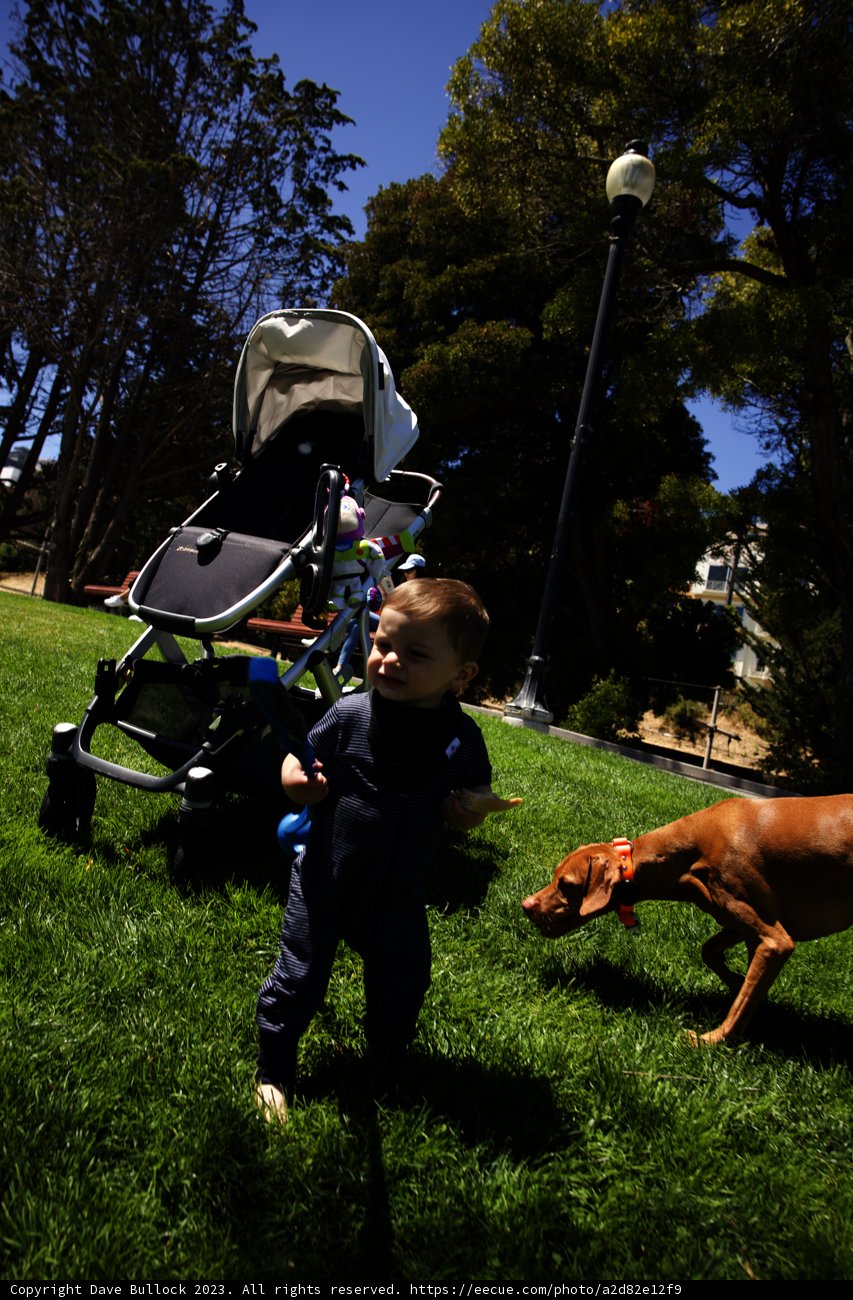A Summer Day's Adventure in Delores Park