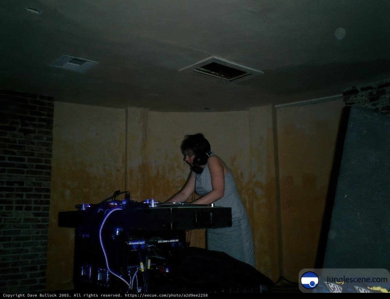 Wedding DJ
