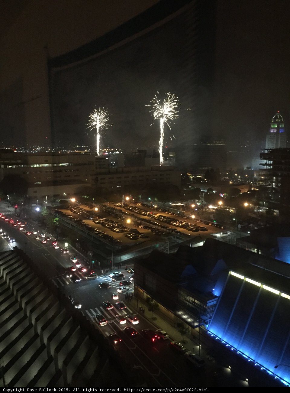 Palm Tree Fireworks