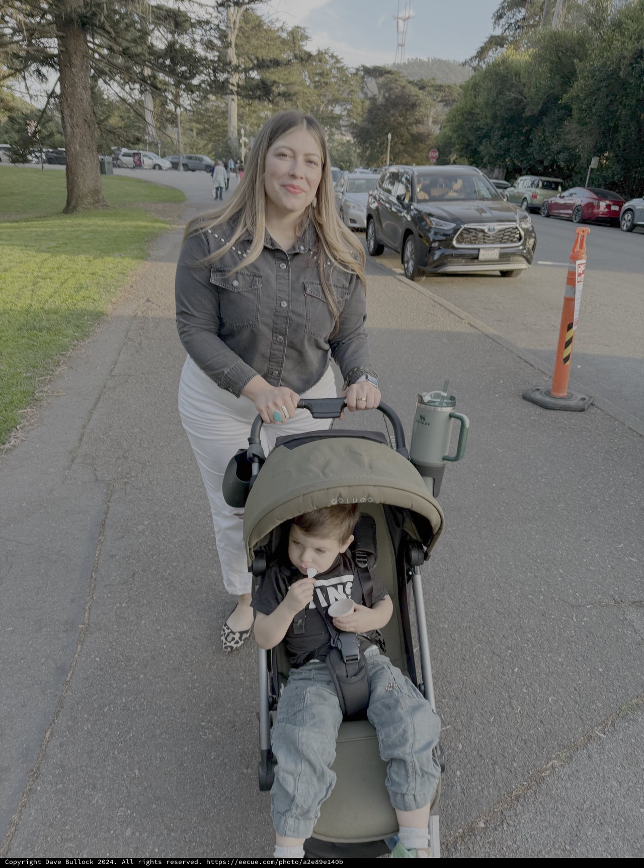 Mother and Toddler on Suburban Street Walk