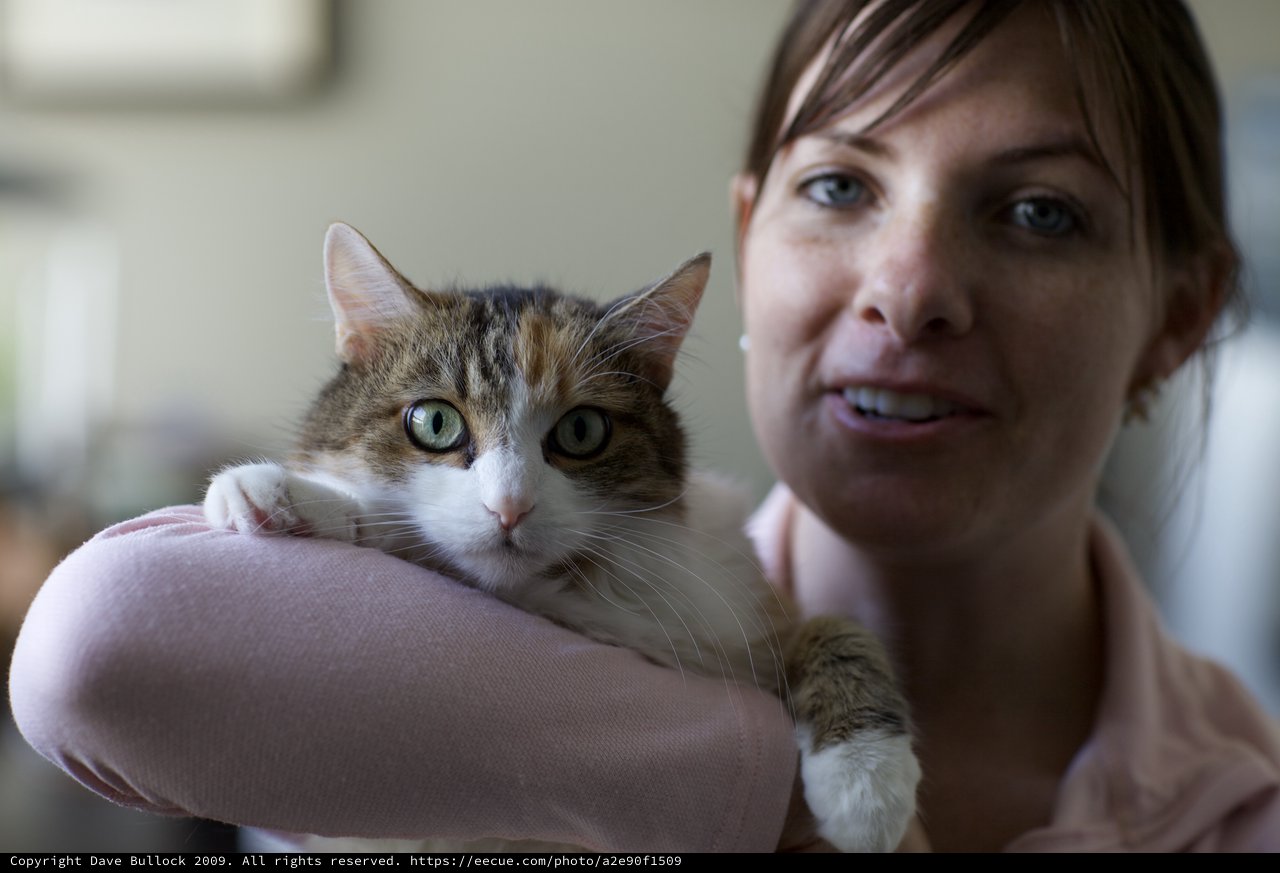 Woman Cradling Alert Tabby Cat Indoors