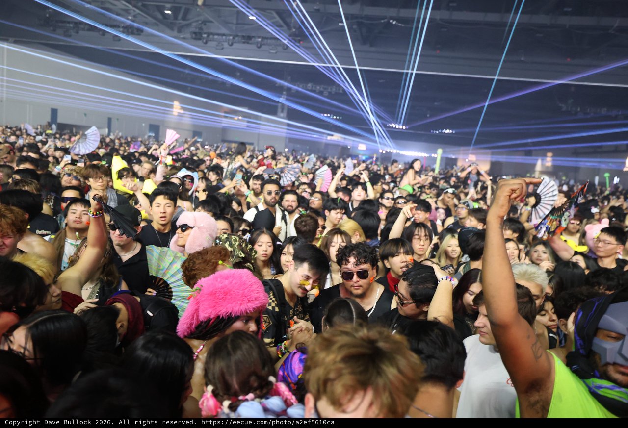 Massive Crowd Packed at Wobbleland 2026 Festival