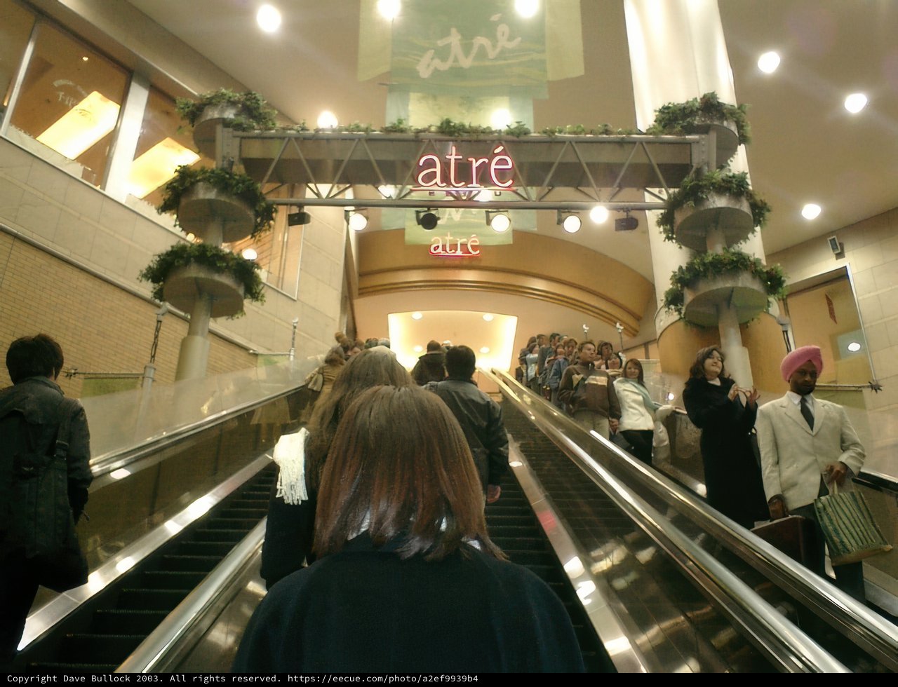 Escalating through Shinjuku
