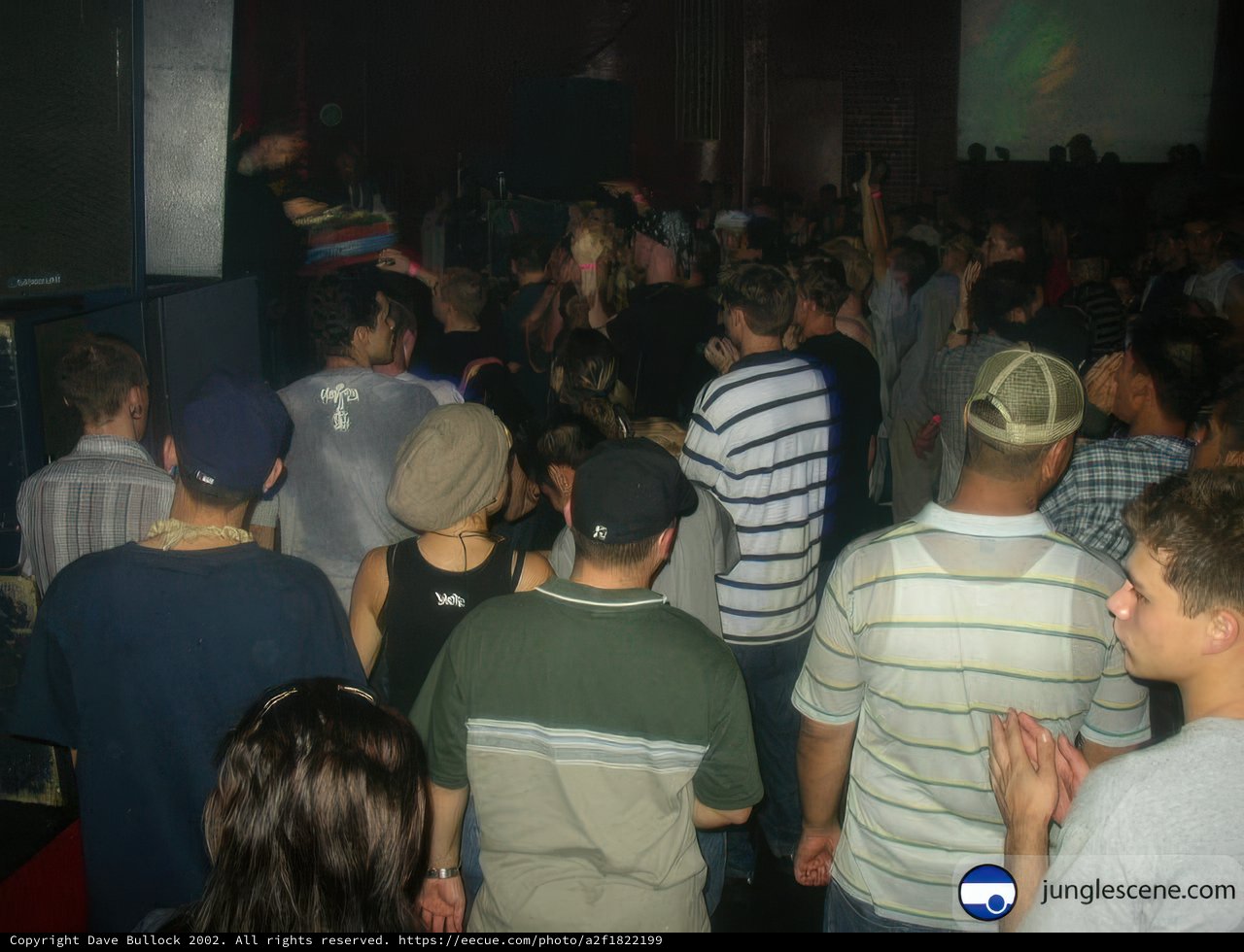 Nightclub Gathering