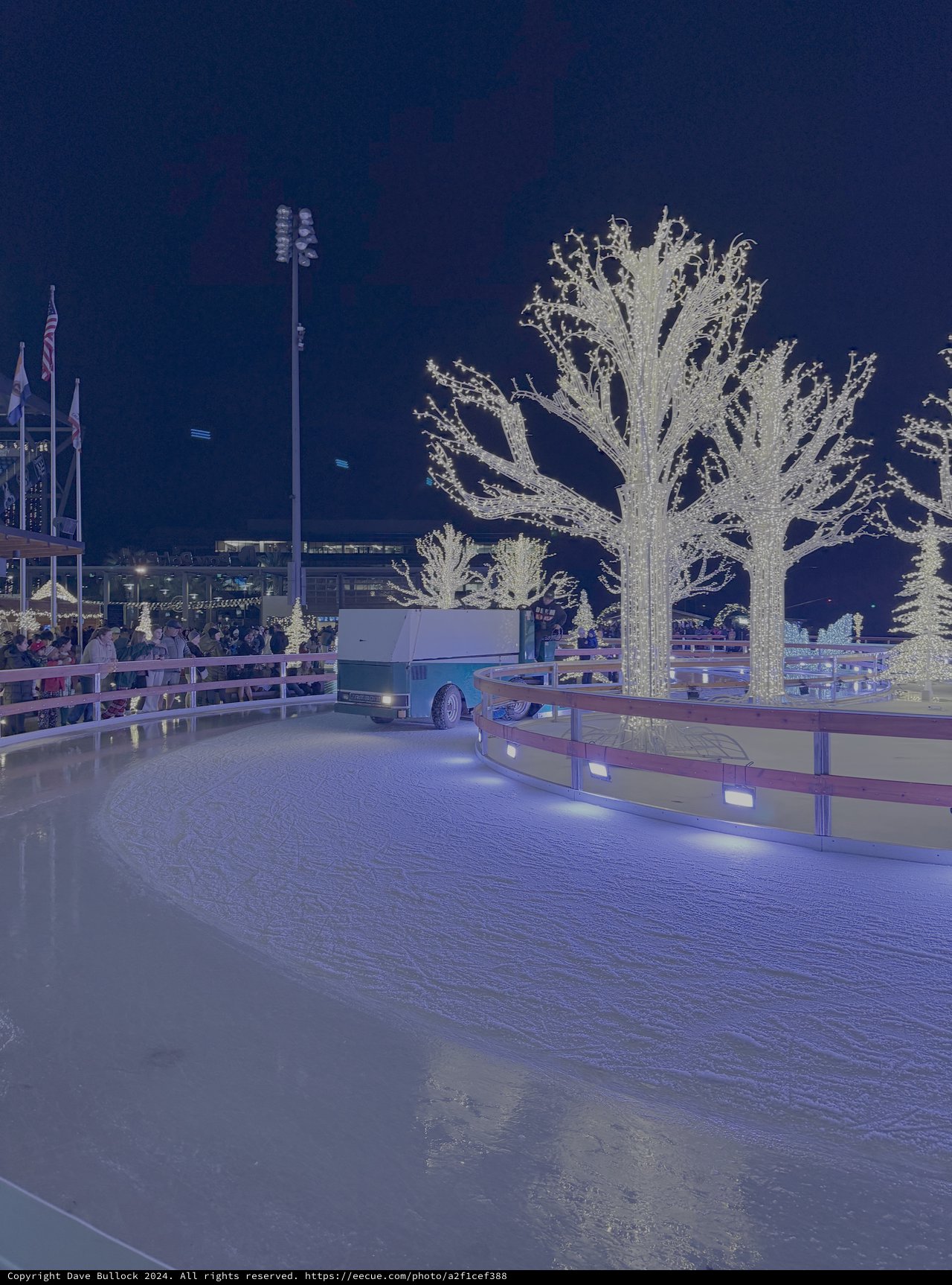 Evening Ice Skating Rink with Illuminated Winter Trees
