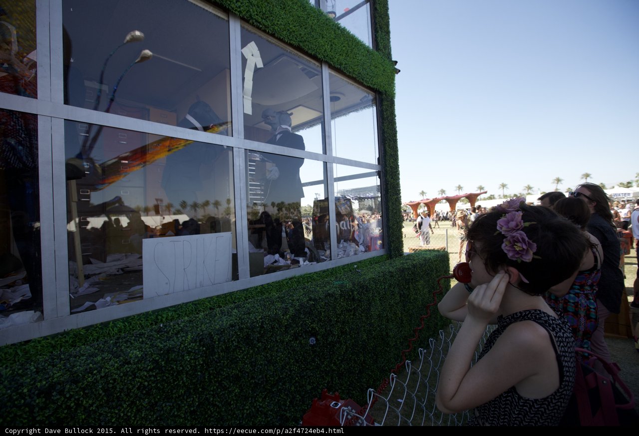 Phone Call Amongst the Flowers