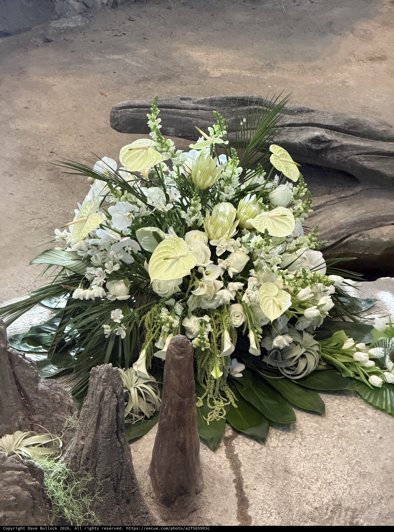 Tropical White and Green Funeral Floral Arrangement