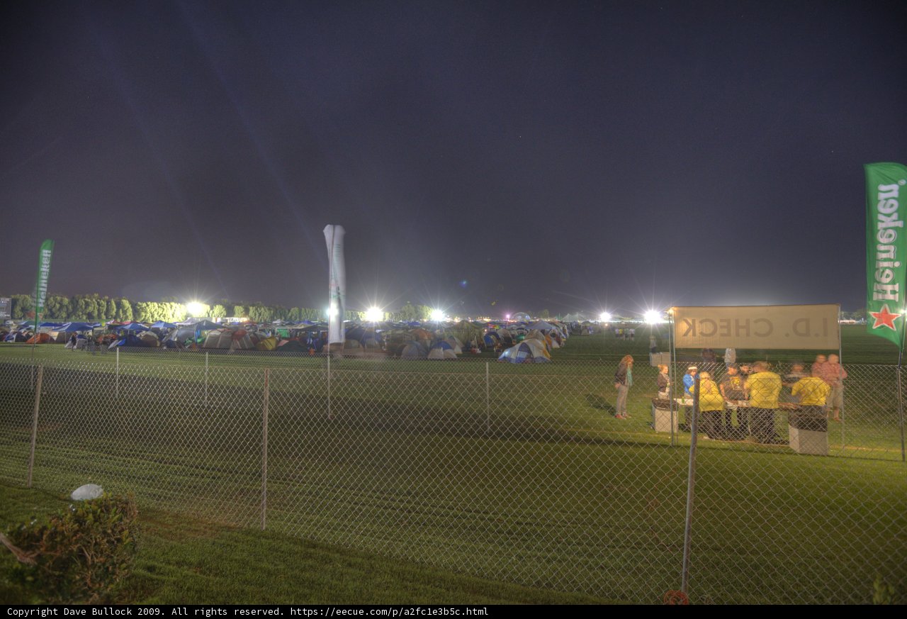 Night Gathering in the Field