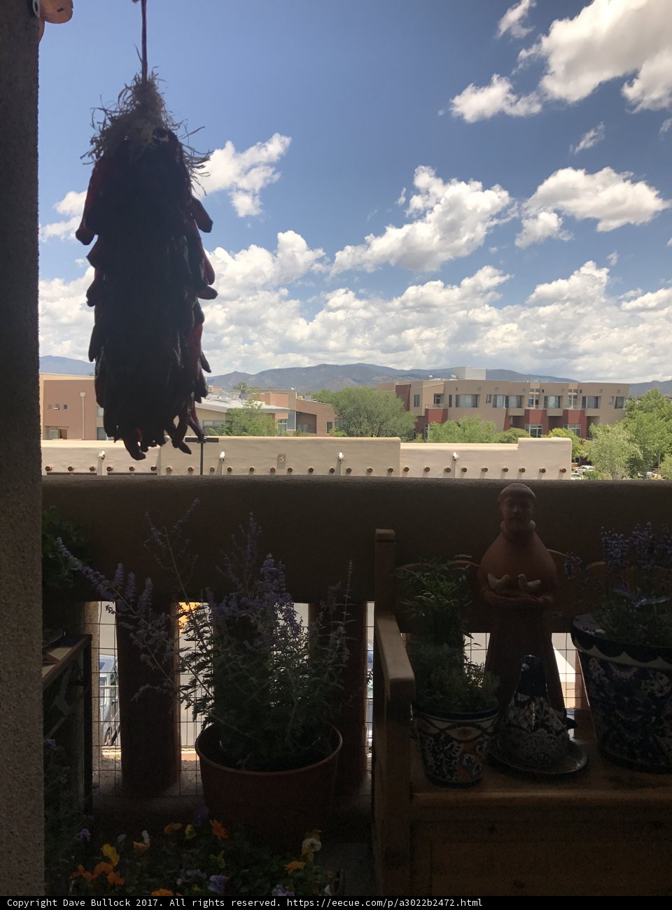 Hanging Plant with a Scenic View