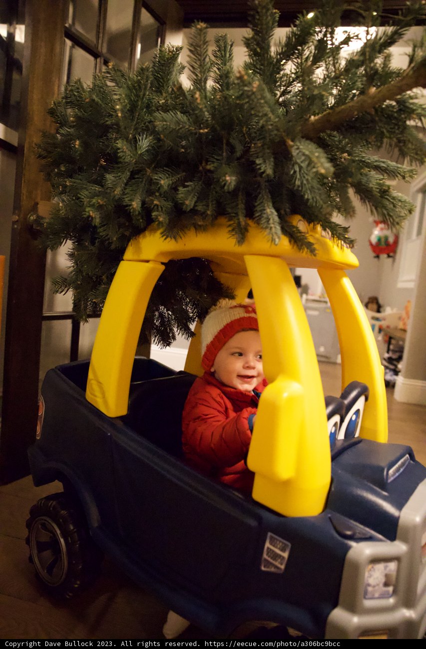 Wesley's First Christmas Joyride