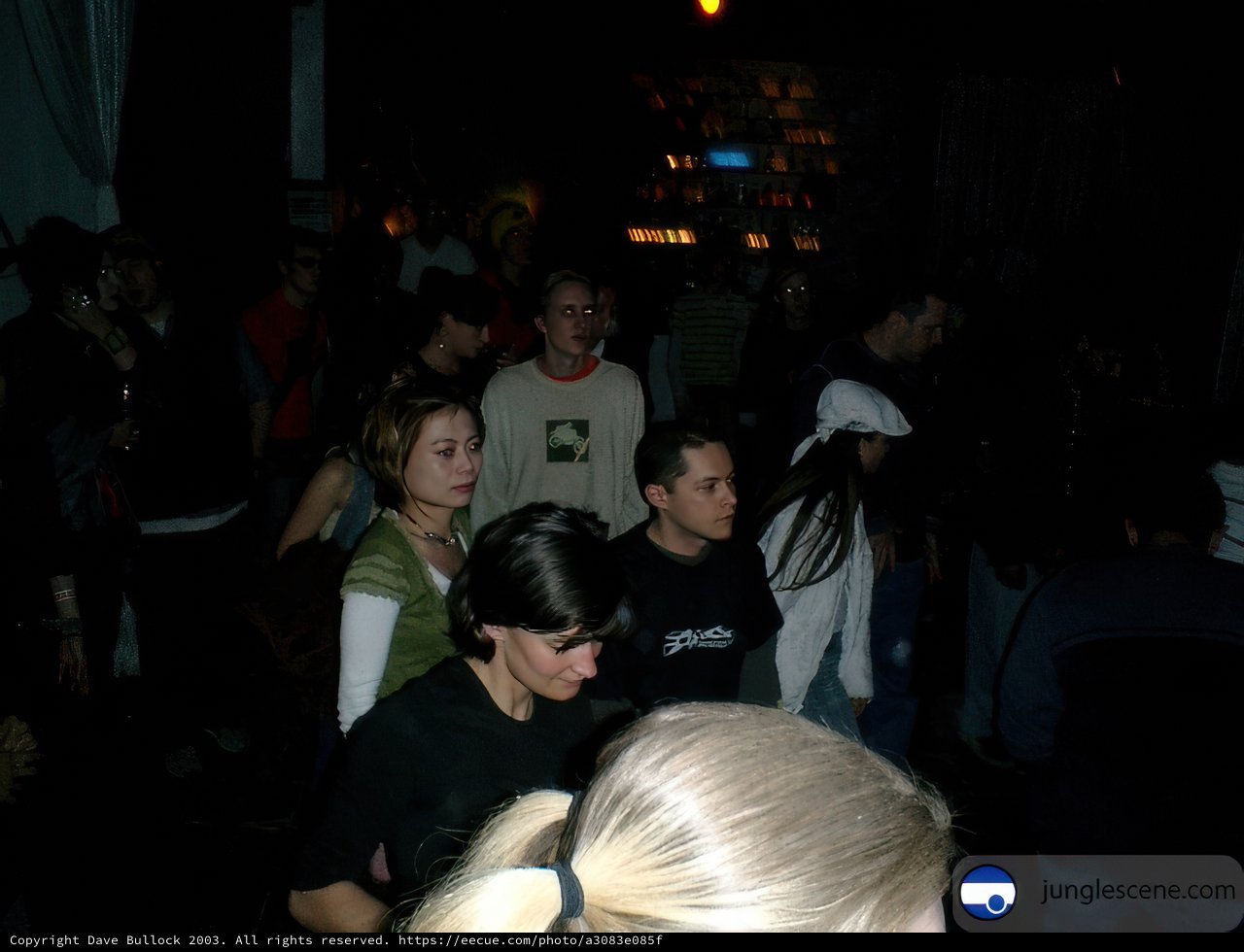Night Club Gathering