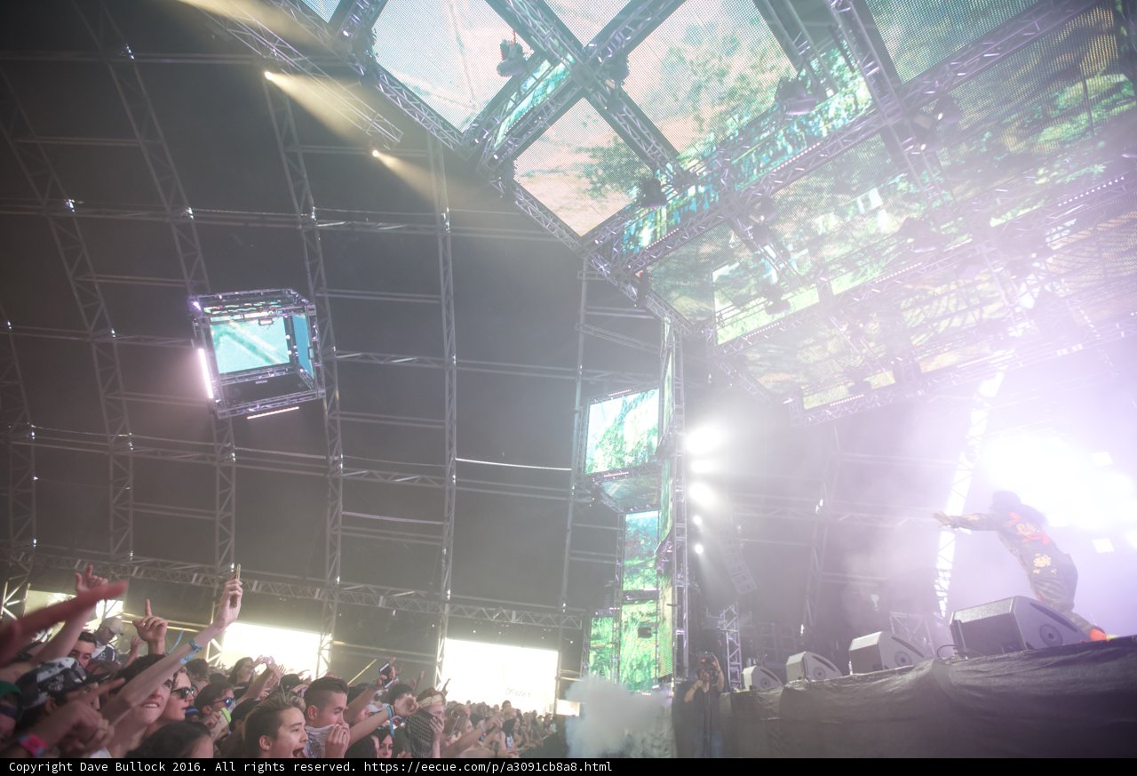 Electric Night at Coachella