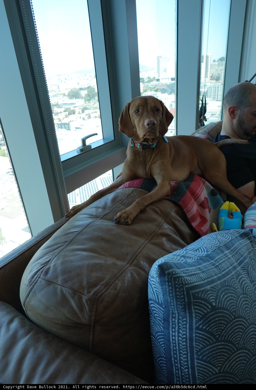 Relaxing on the Couch