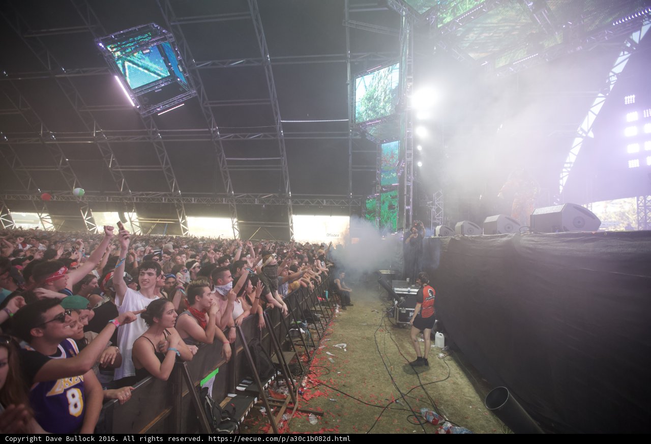 Smoke Show: Captivating Concert Crowd