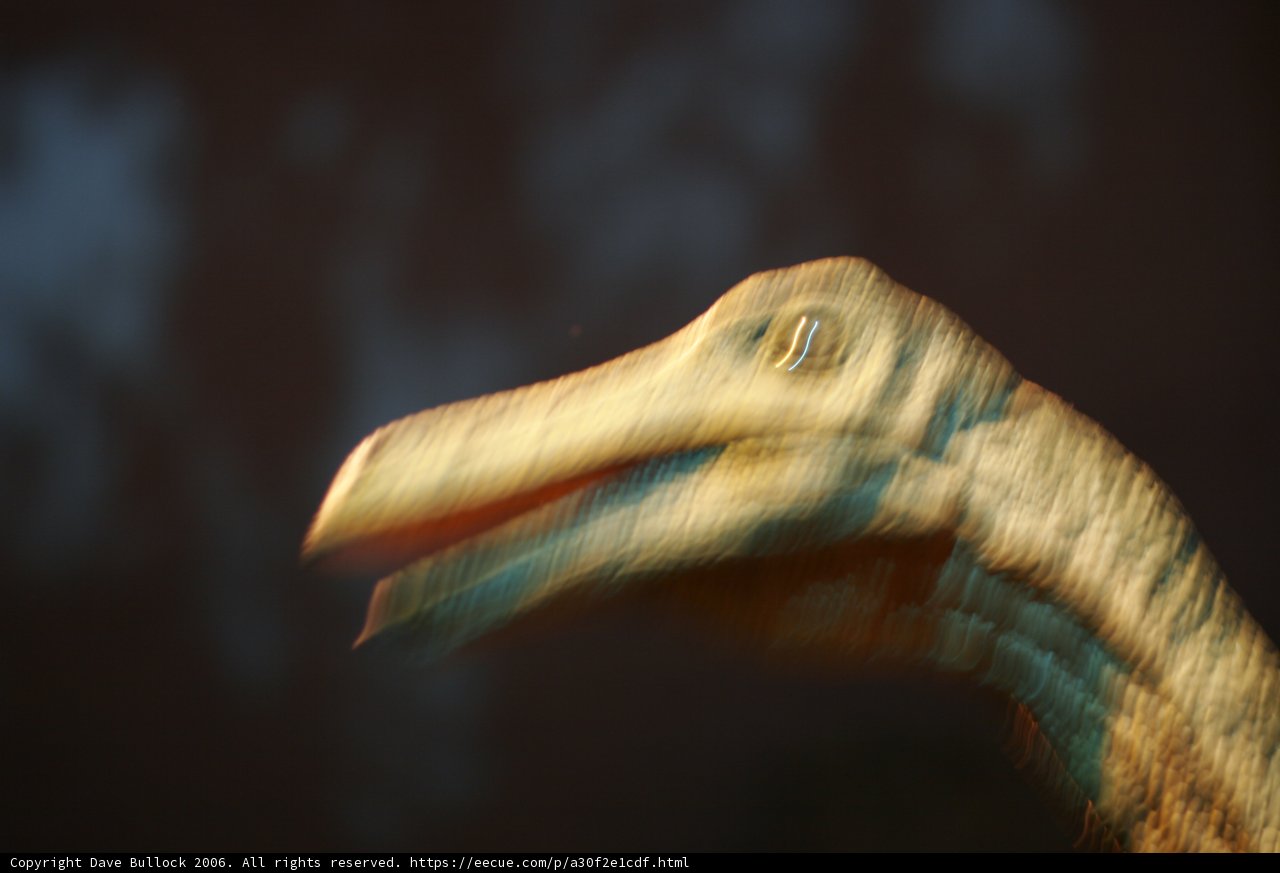 Elusive Dino