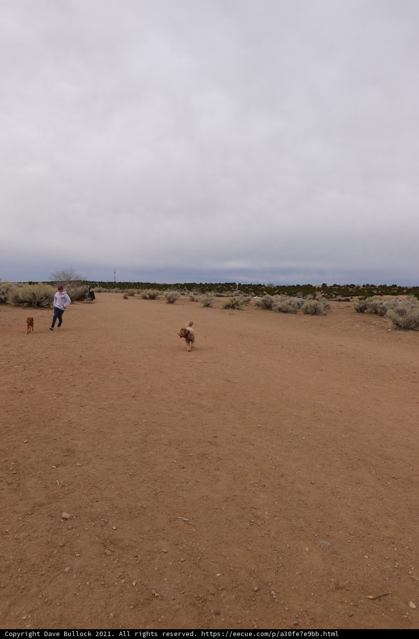 A Walk in the Desert