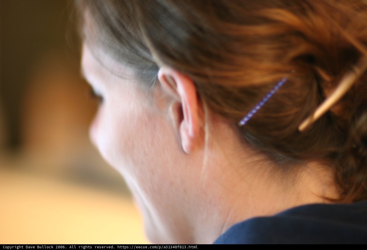 Elegant Ear Accessory