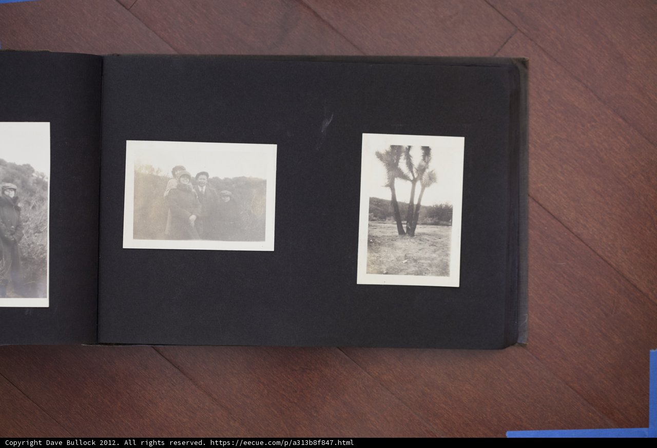 Family Memories: A Collage of People and Nature