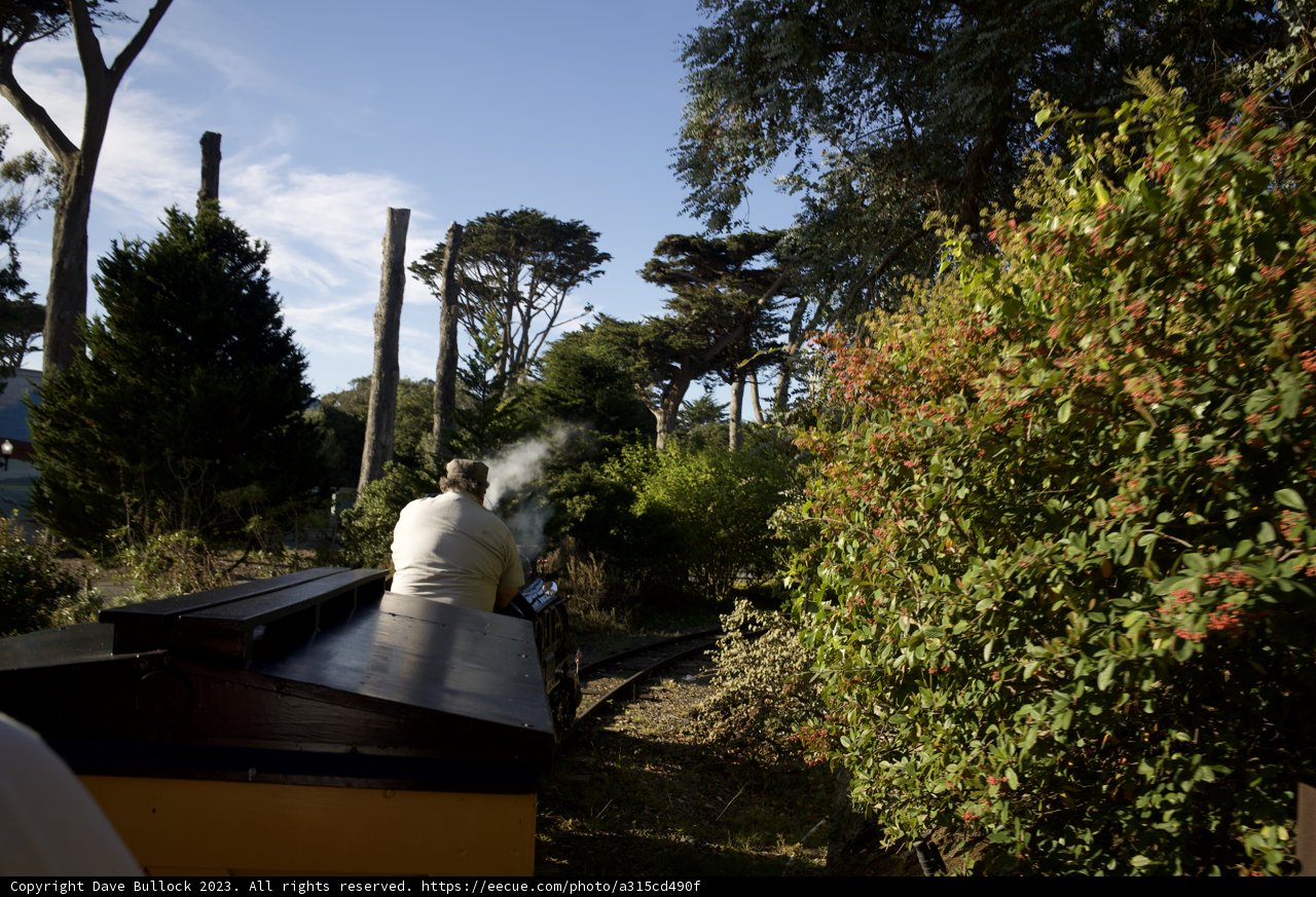 The Enchanting Forest Railway Ride