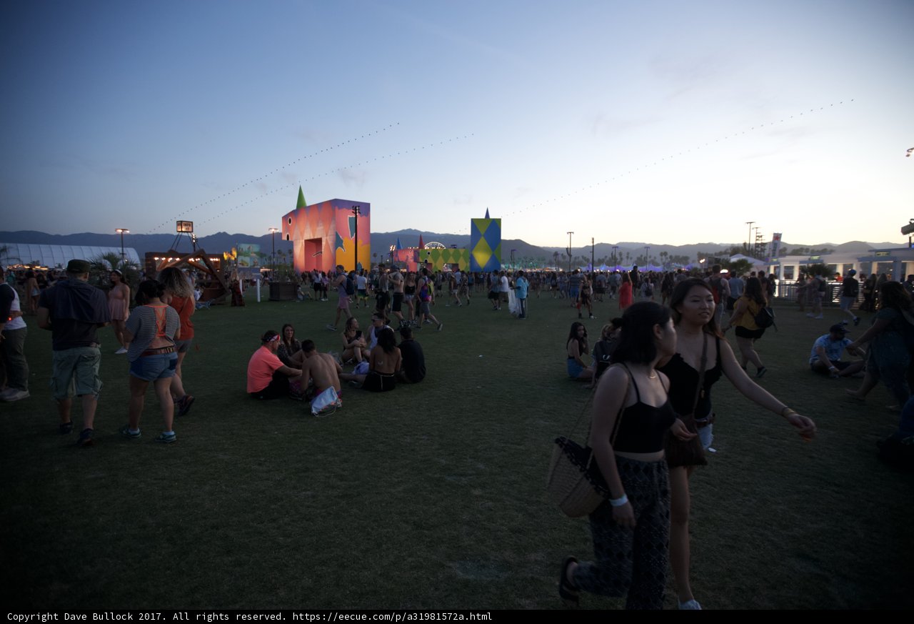 Festival-goers Enjoying the Greenery