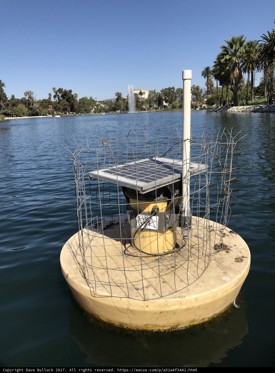 Solar-Powered Boat Enjoying the Serenity of the Lake