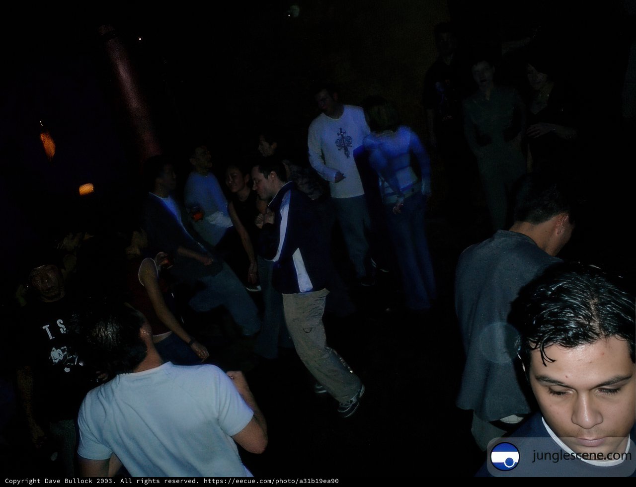 Night Club Crowd