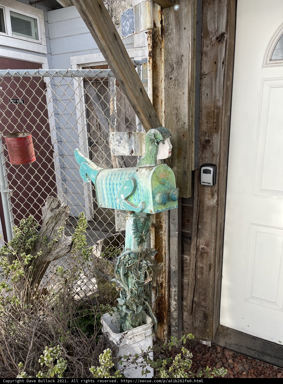Avian Mailbox Sentinel