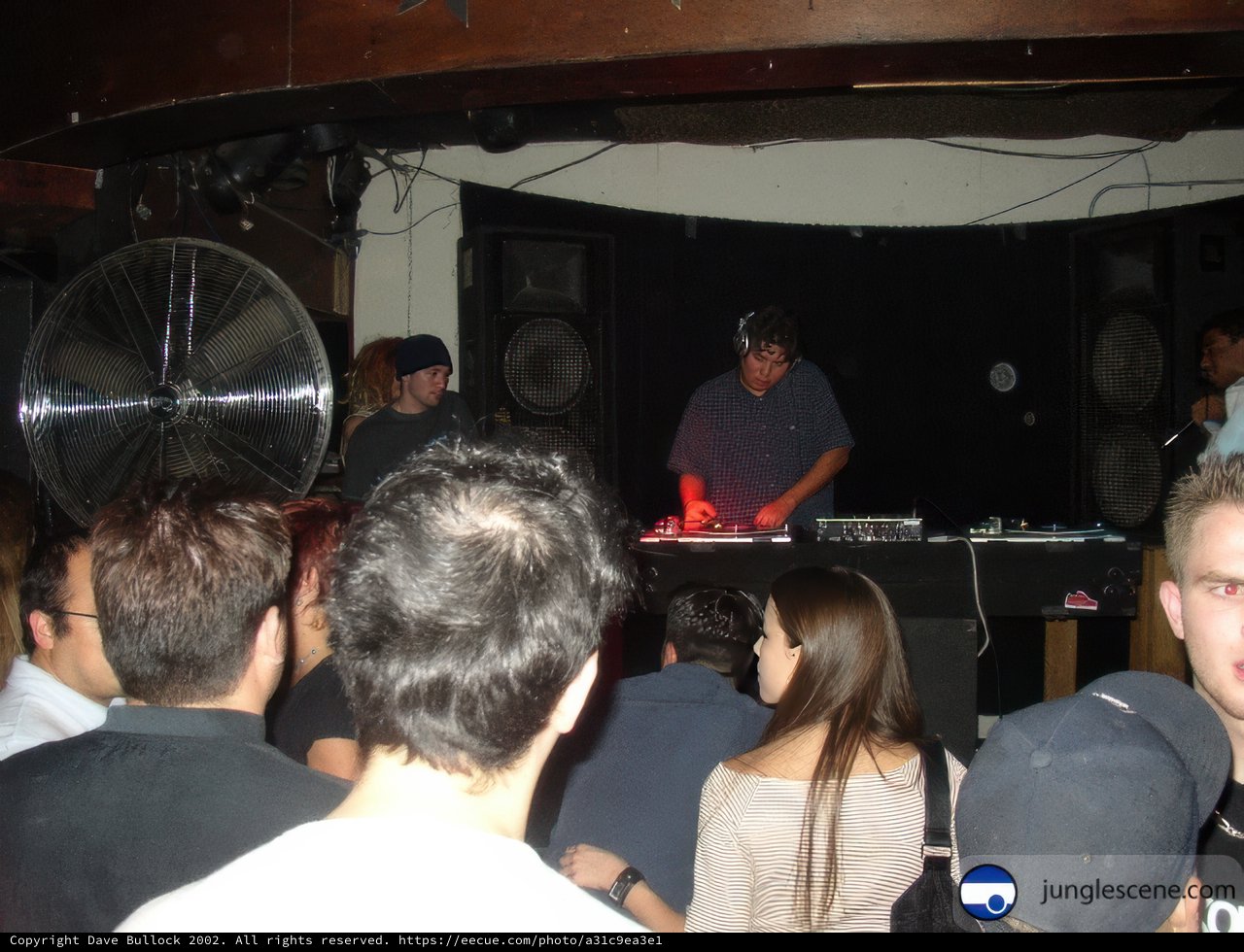 Party with the DJ