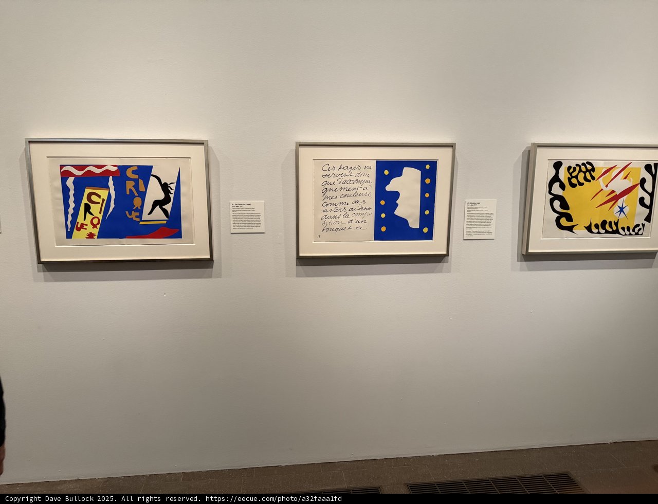 Vibrant Expressions: A Glimpse into Modern Art