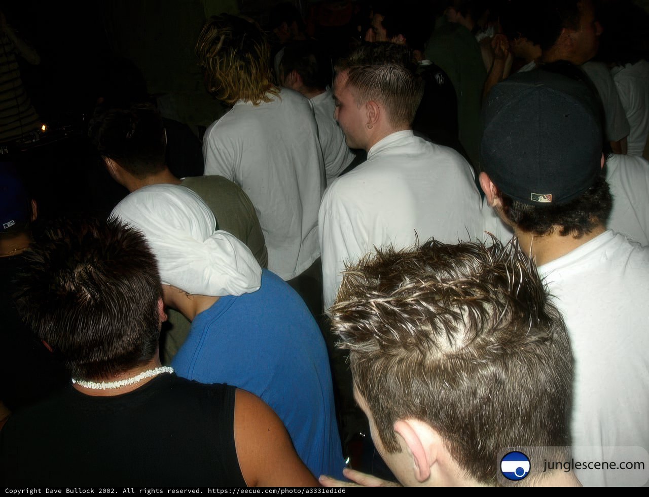 Nightlife Gathering