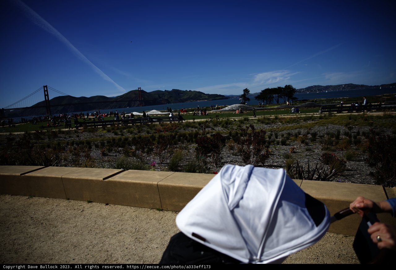 A Stroll in the Presidio