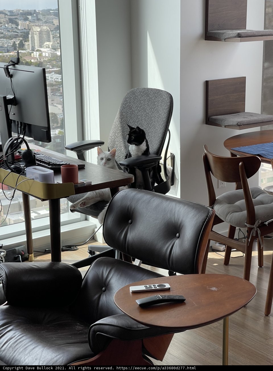 Sleek Black Leather Armchair in a Modern Living Room