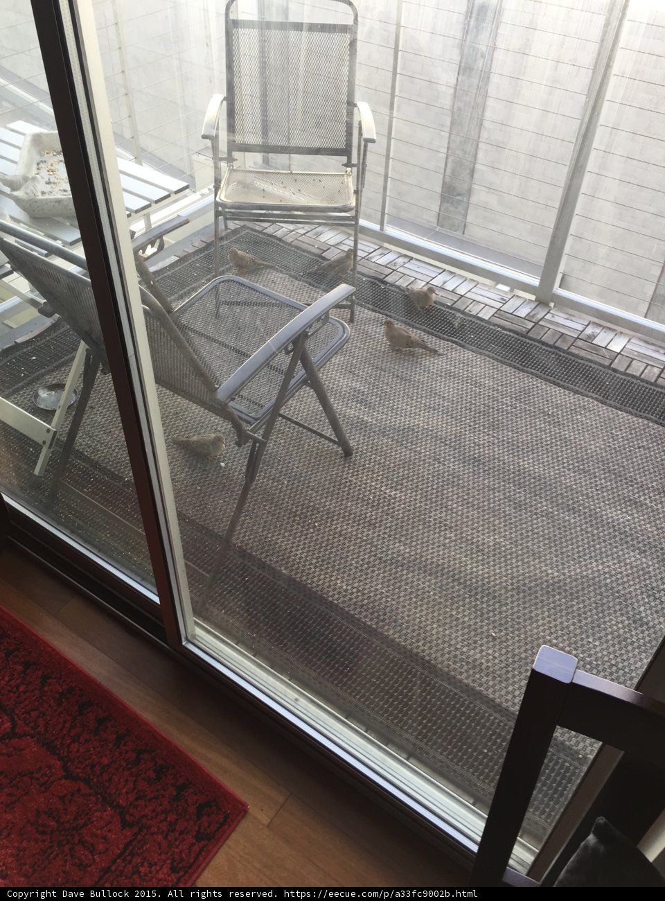 A Stunning Sliding Glass Door