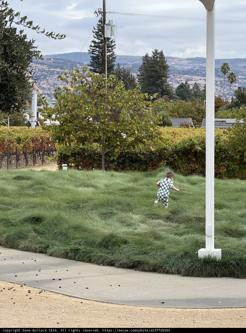 Run Through the Green