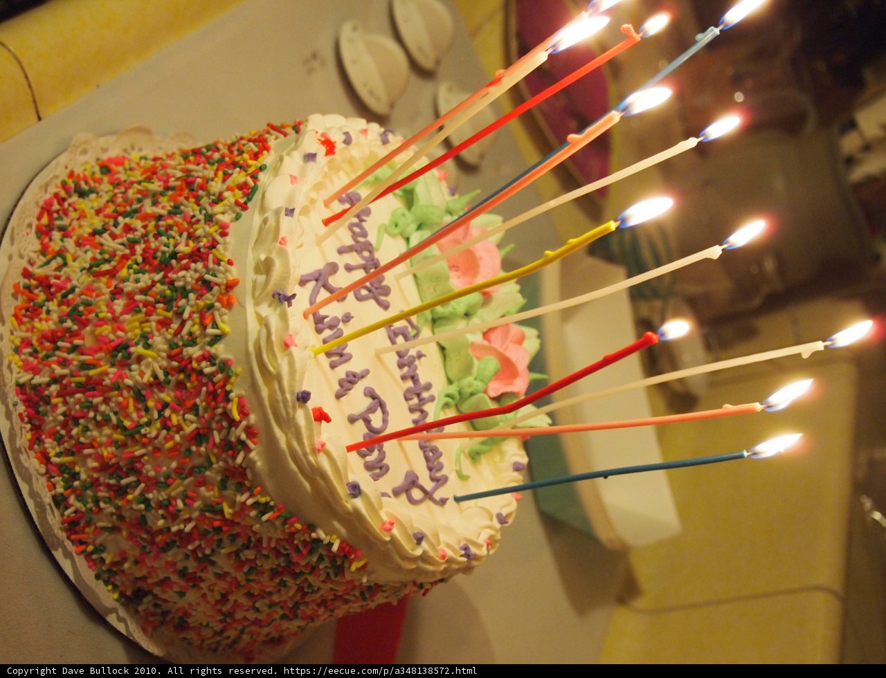 Birthday Cake Extravaganza