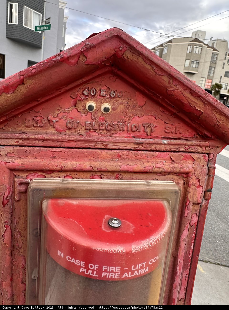 The Vibrant Red Hydrant
