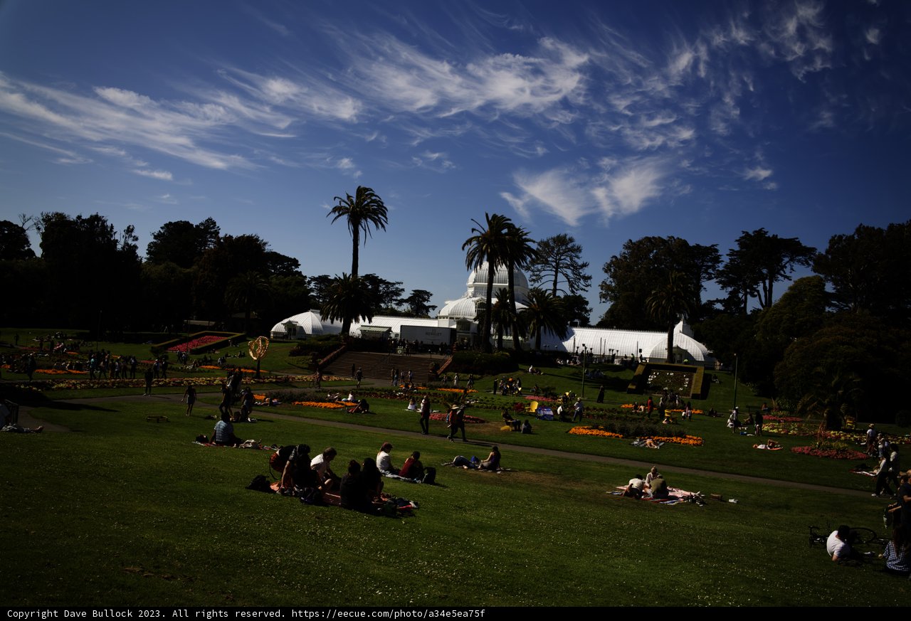 A Blissful Summer Afternoon in Golden Gate Park